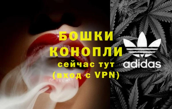 хмурый Лагань