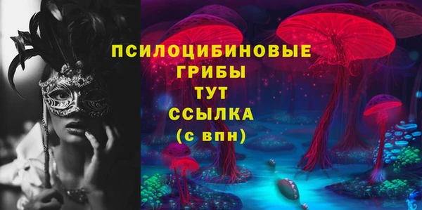 хмурый Лагань