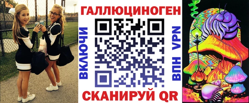 Купить где  Сокол  Галлюциногенные грибы Cubensis 